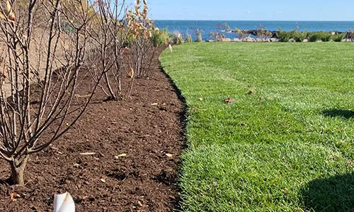 Border of shrubs alongside a manicured green lawn with a distant view of the ocean