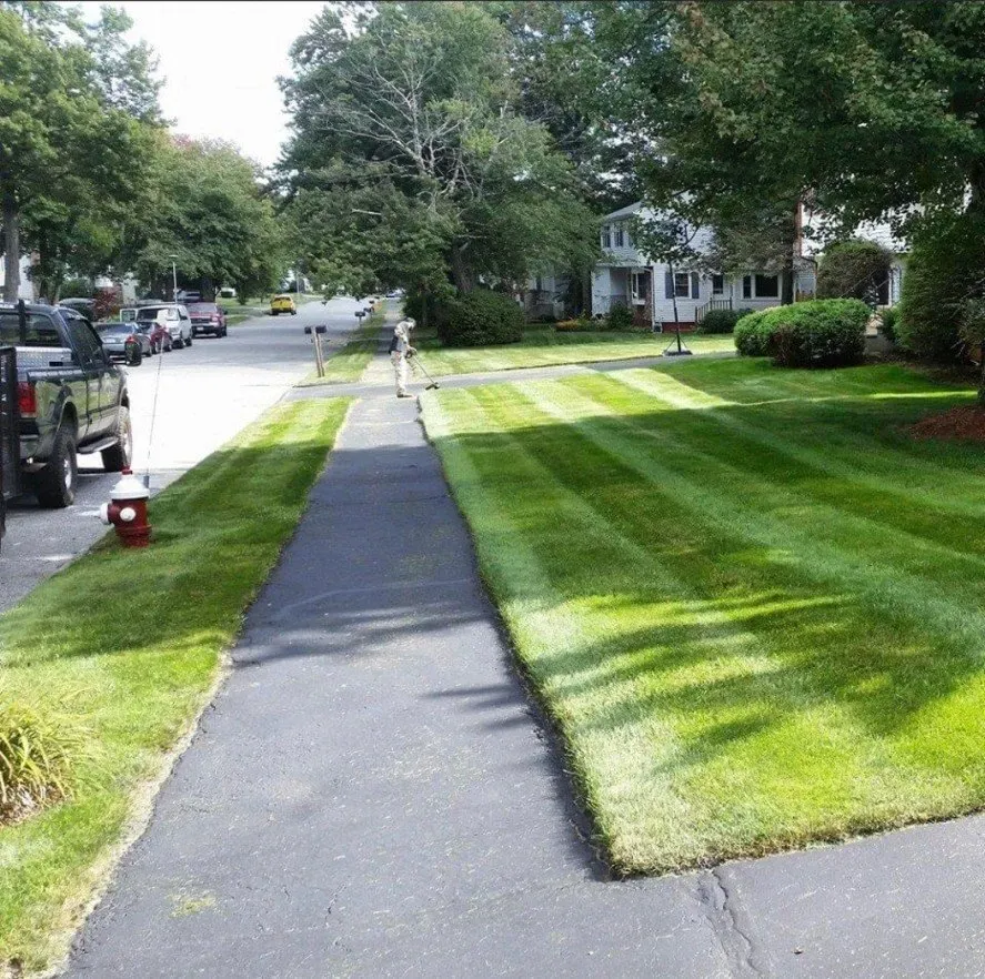 work photo from millertreeandlandscaping.com