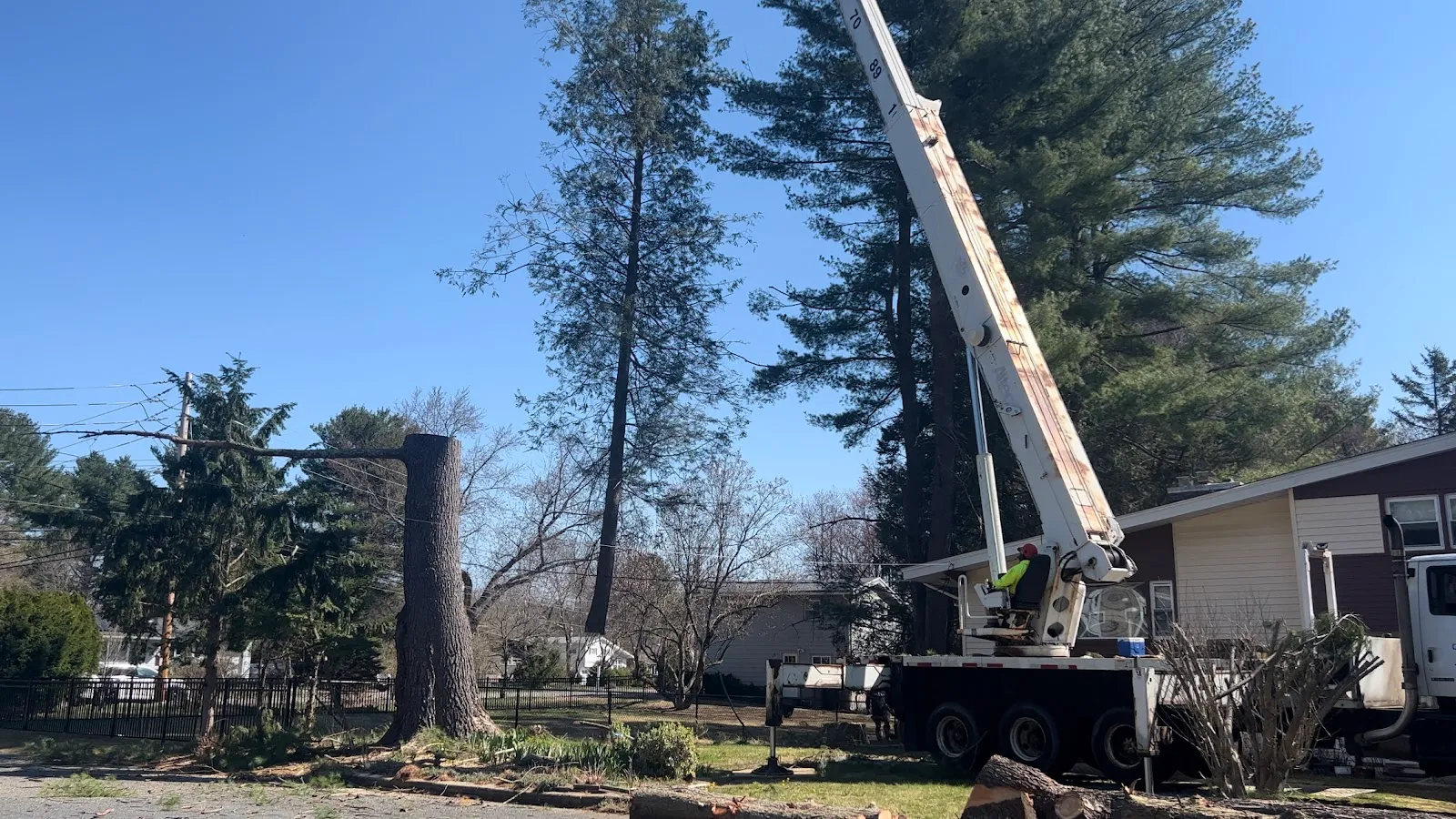 Lopez Landscaping & Tree Service LLC