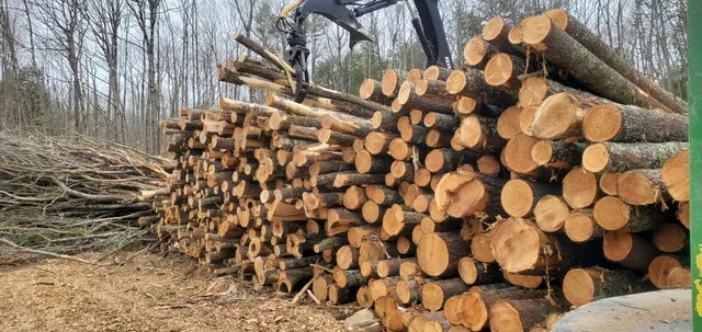 Timberline Land Clearing and Excavation, LLC work photo