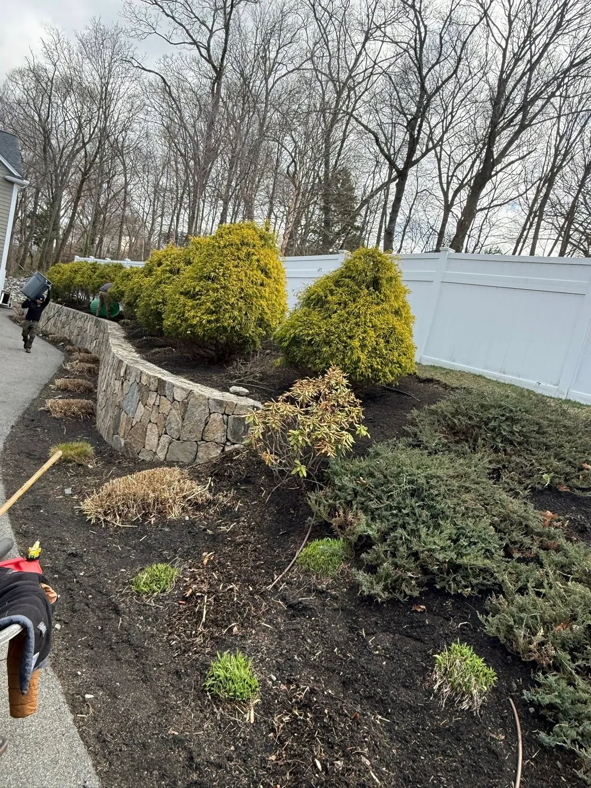 Juarez Landscaping and Tree Services