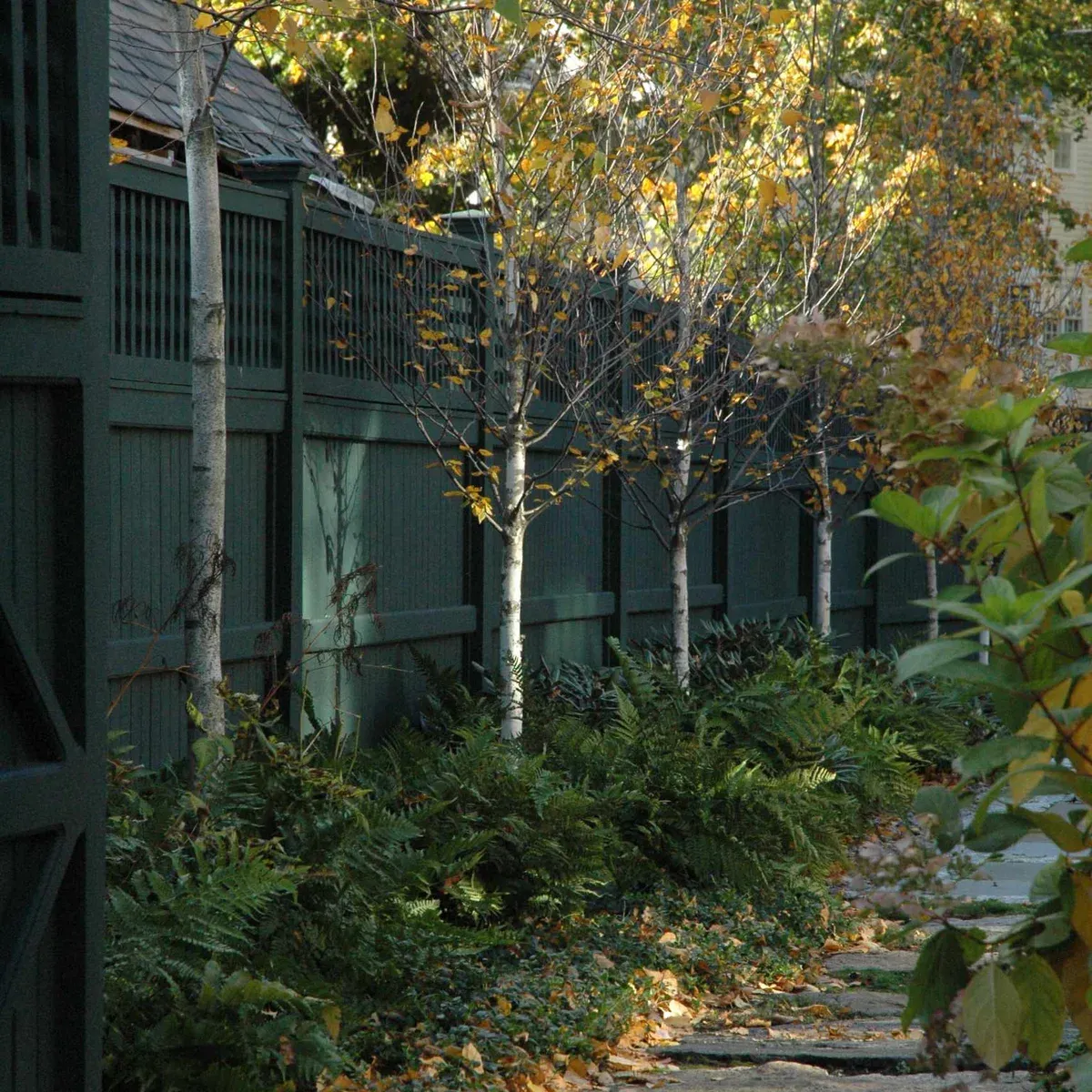Timothy Lee Landscape Design researched project photo