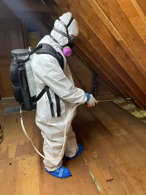 Eliminate 'Em Pest Control Services work photo
