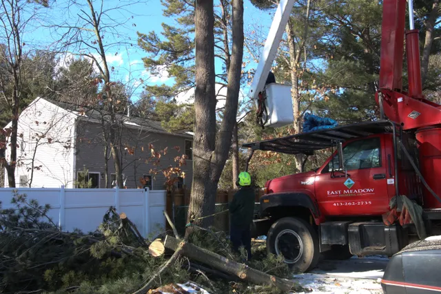 East Meadow Enterprises work photo
