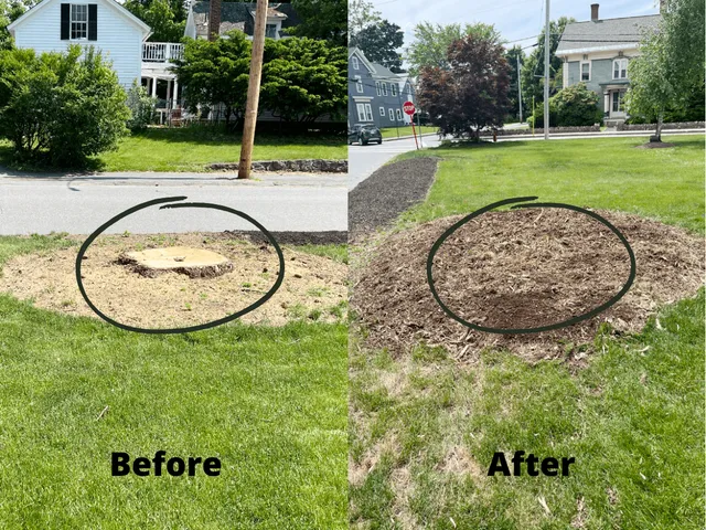 Rob's Stump Grinding work photo