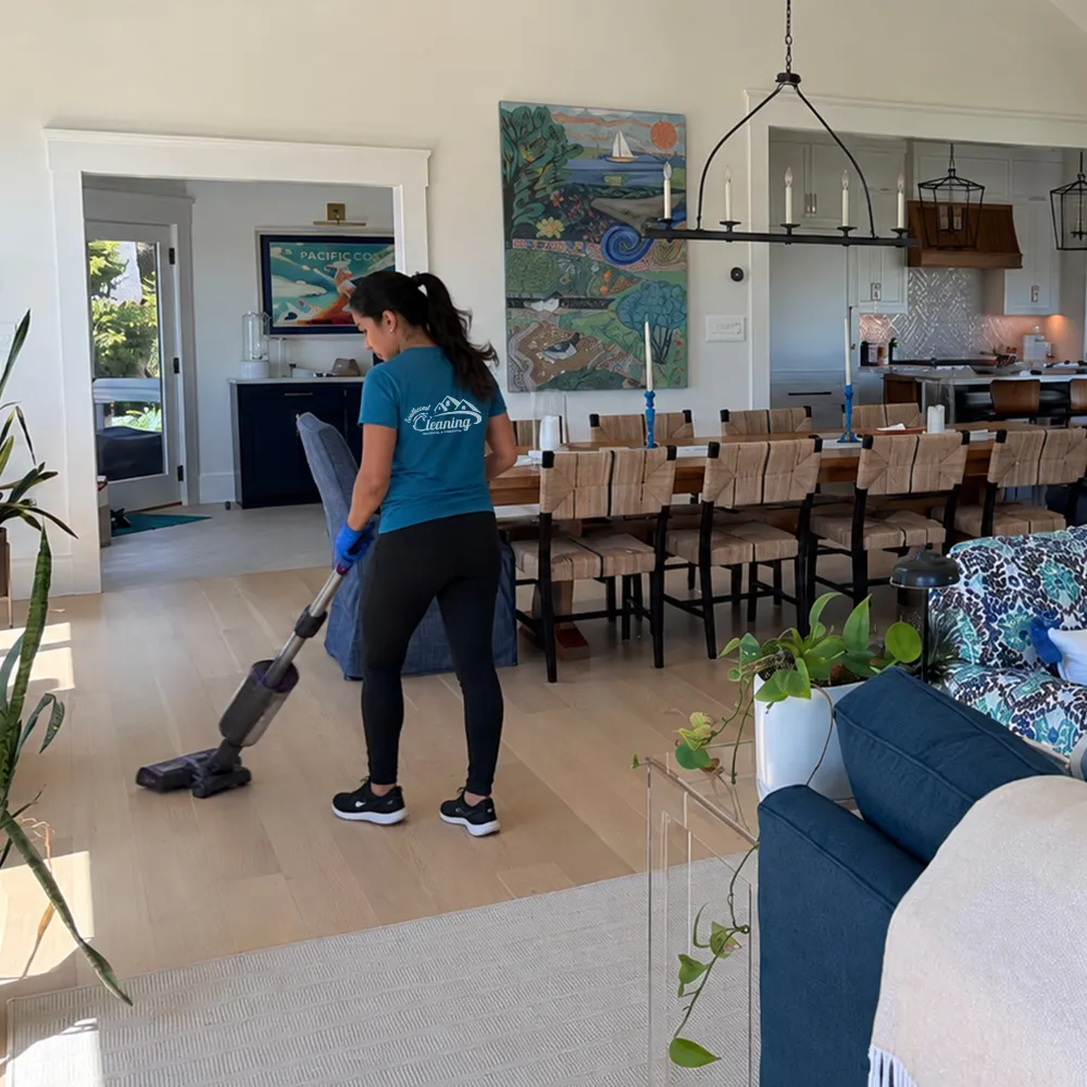 The Southcoast Cleaning Company