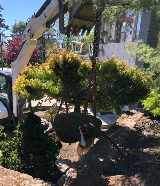 Acorn Tree & Landscaping inc. researched project photo