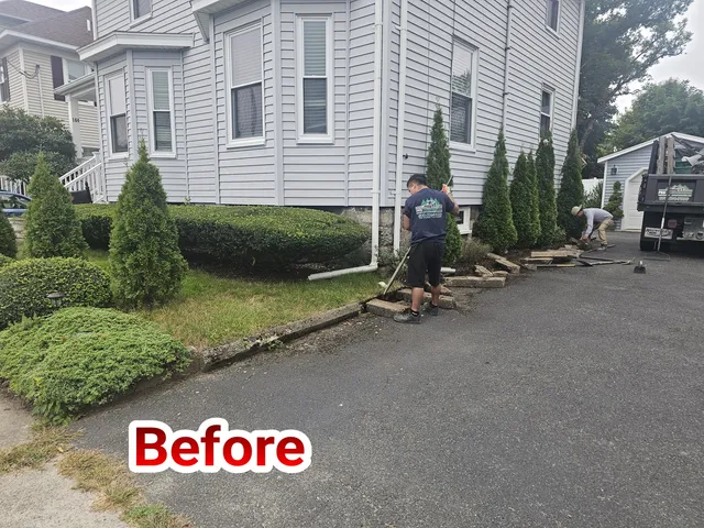 PRO Maintenance Landscape & Construction