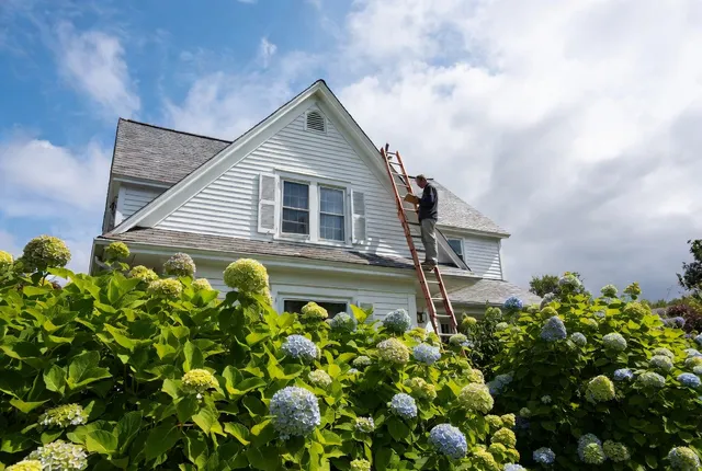 Cape Cod home with blue hydrangeas in bloom and a ladder set against the roofline during exterior work