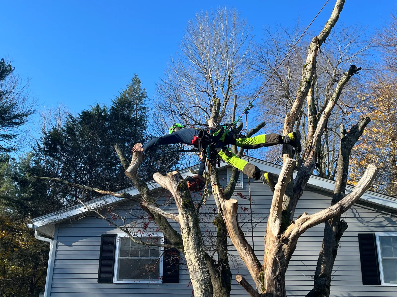 work photo from Google listing