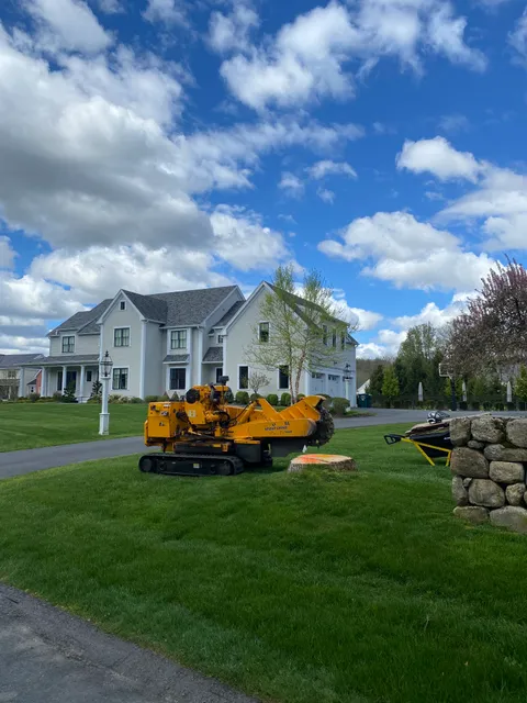 Big Cat Stump Removal work photo
