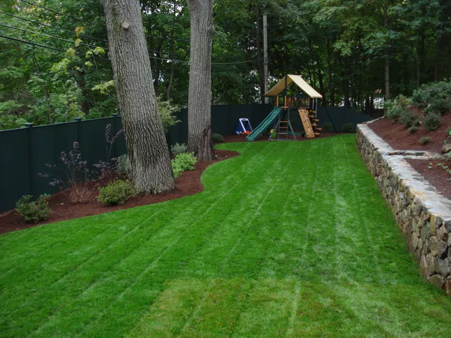 WILLOW TREE work photo