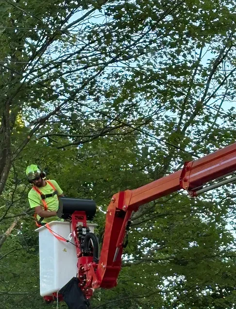 Lift work
