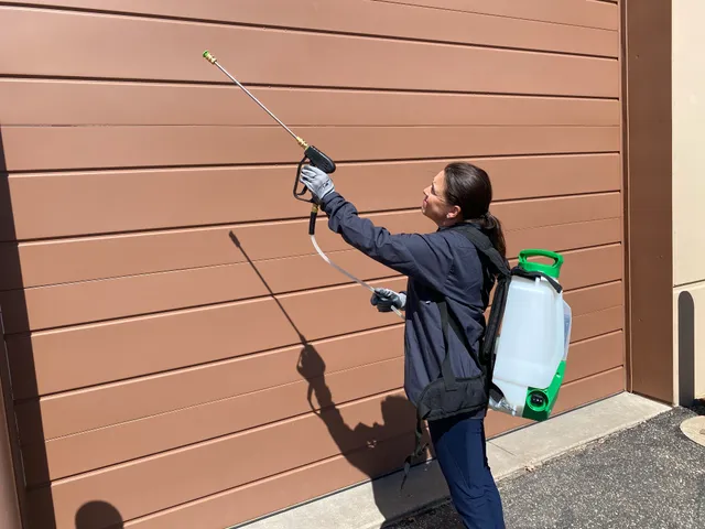 Rove Pest Control work photo