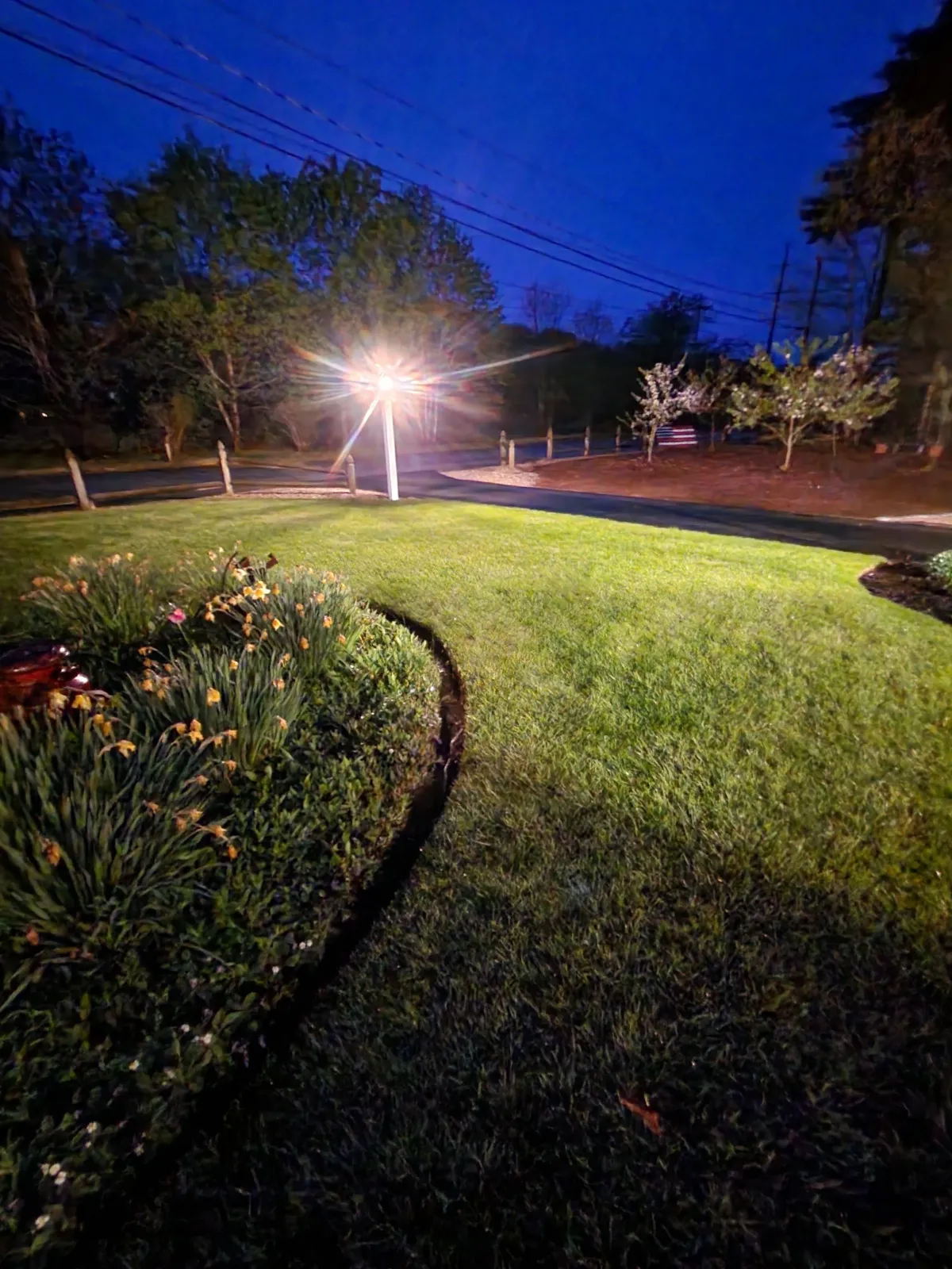 Nighttime view of a well-lit front yard with a curved flower bed filled with blooming flowers, surrounded by green grass, with a street and trees in the background under a deep blue sky.