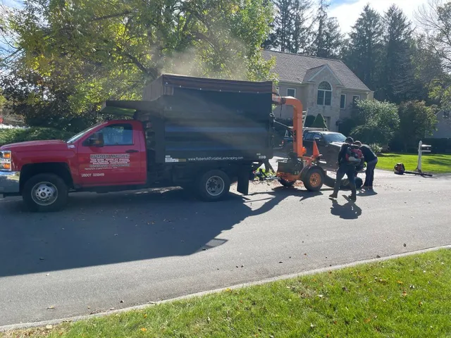 Roberto Affordable Land & Tree Service researched project photo