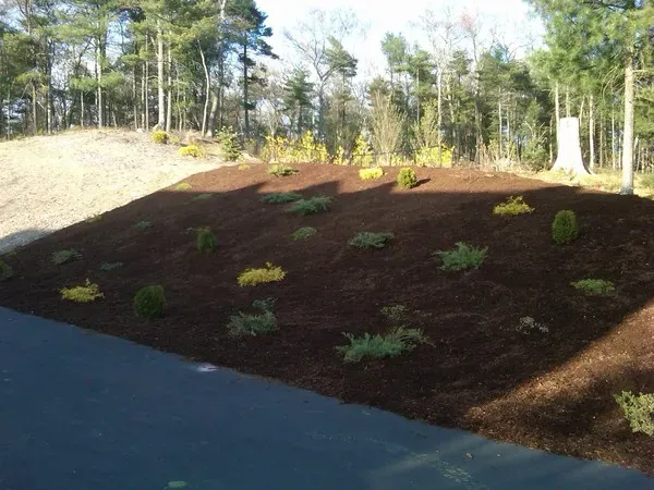 work photo from limaslandscape.com