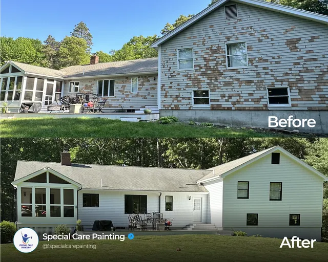 Special Care Painting work photo