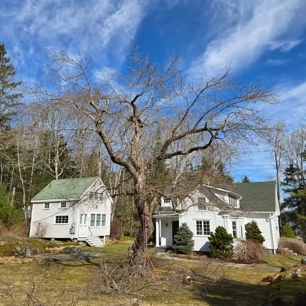work photo from foresttoshore.com