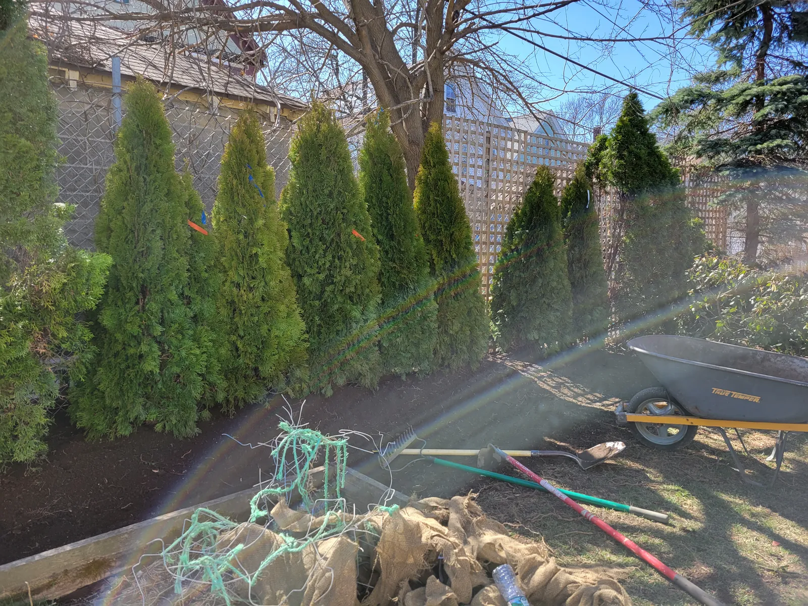 work photo from Google listing