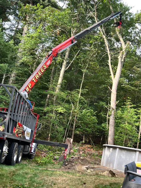 Taunton Tree Service Pros work photo