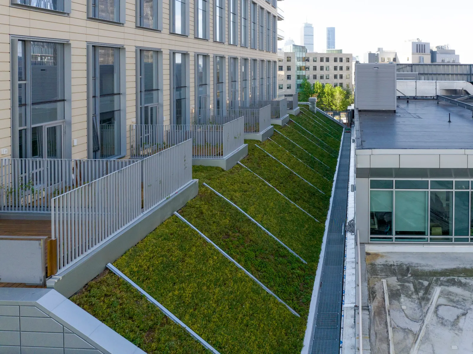 An example of a green roof installed by Xquisite Landscaping, a commercial landscape development installer on the South Shore of Massachusetts. Green roofs help with stormwater management, energy savings, and roof longevity.