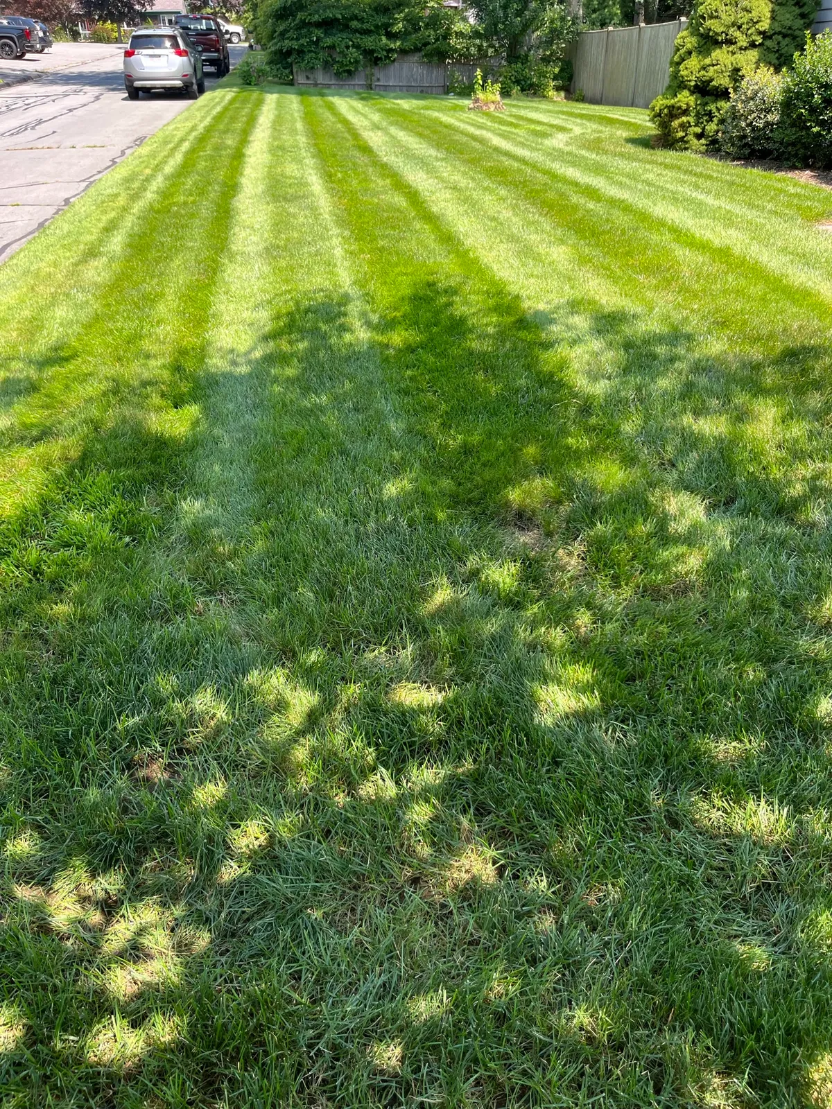 Ledo's Lawn Care