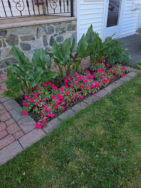 C&K Outdoor Services LLC work photo