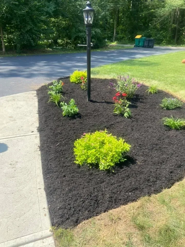 front yard mulch bed with plants