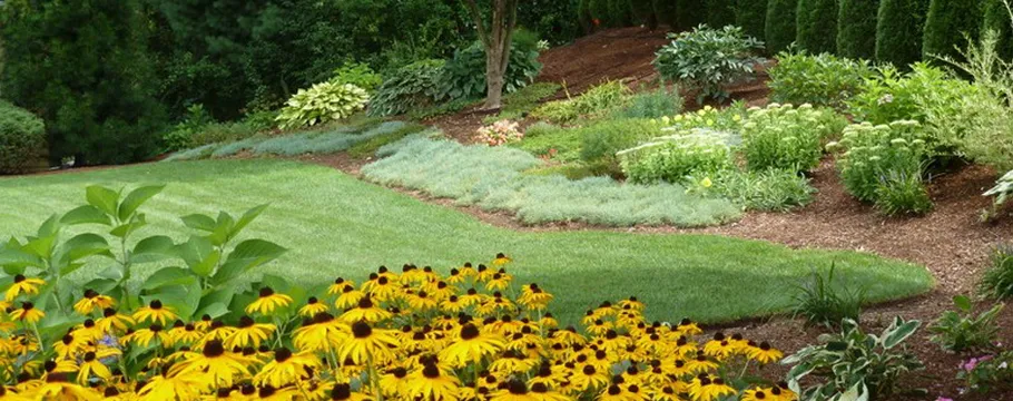 Black Diamond Landscapes, Inc.