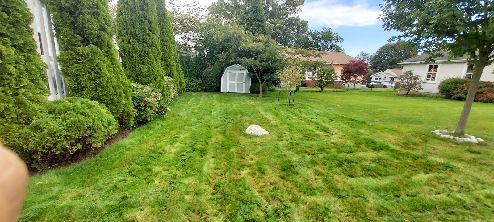 JL's Lawn care
