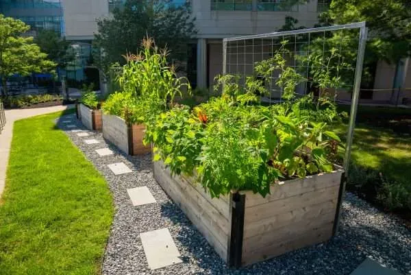 work photo from greencitygrowers.com