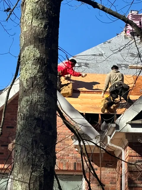 THE ROOF BOSS work photo