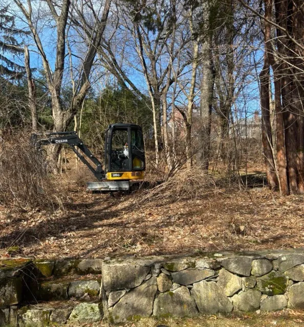 A small excavator working in a wooded area with trees and a stone wall in the foreground, and blue sky visible through the branches.