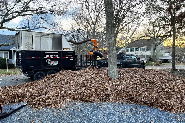 leaves being cleaned up for spring cleanup service near me