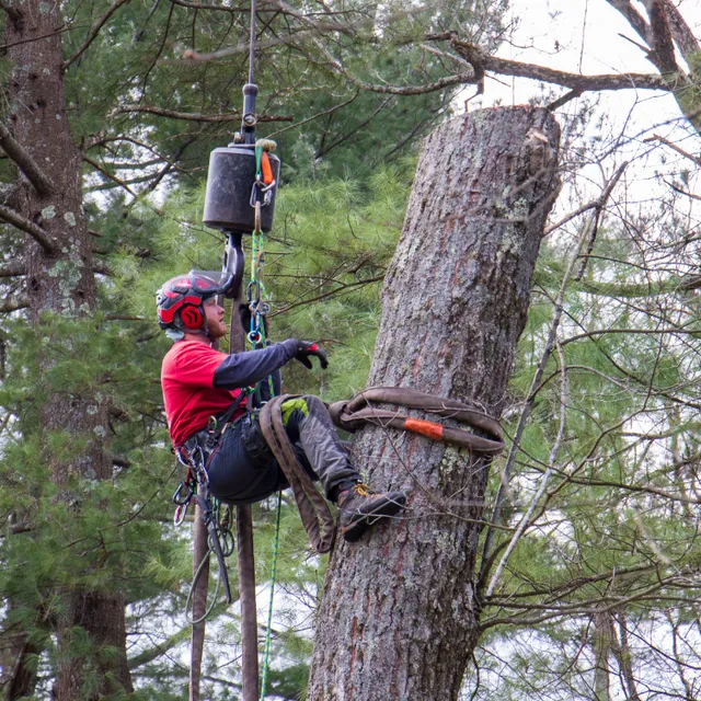 American Climbers work photo