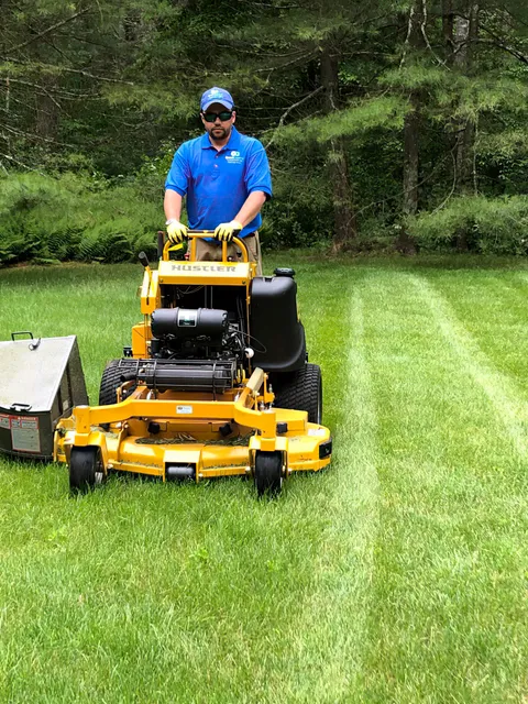 Good Greens Landscaping work photo