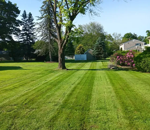 work photo from milfordqualitylandscaping.com
