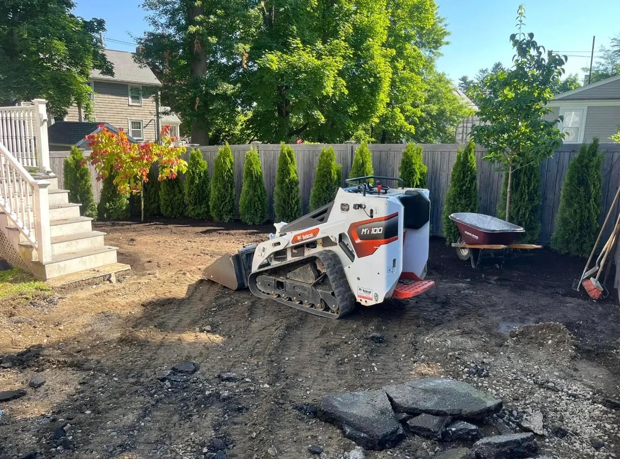 Towne Tree & Landscaping