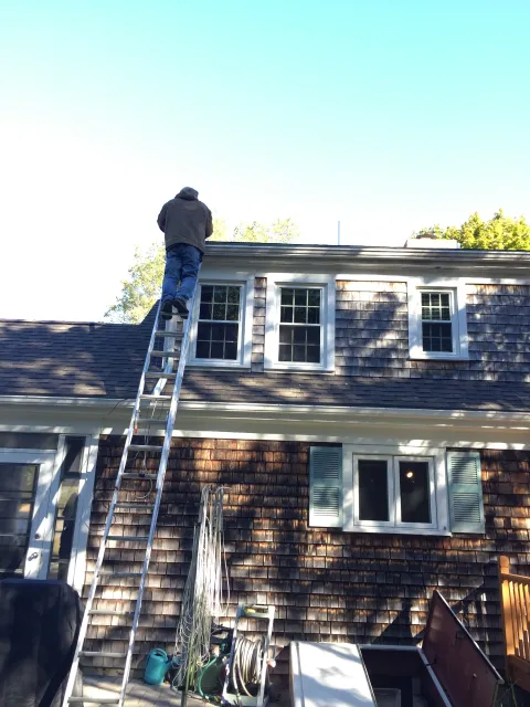 A to Z Animal and Pest Control work photo