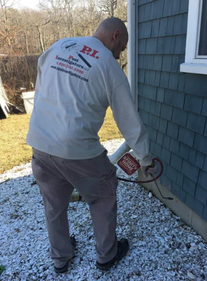 P.I. Pest Investigators LLC - Cape Cod Pest Control work photo