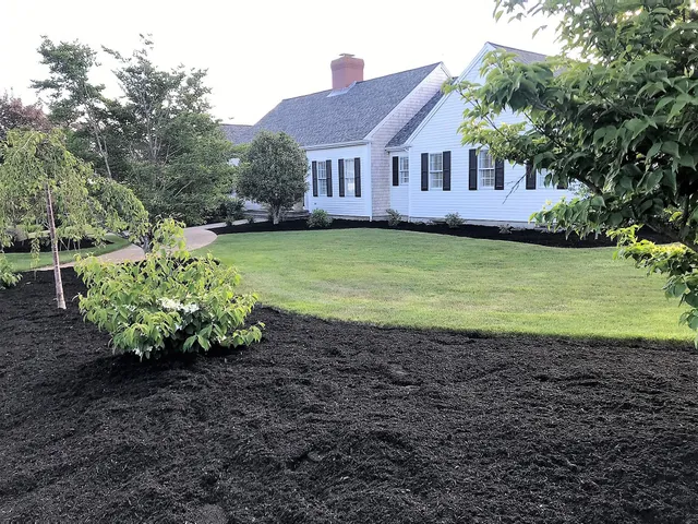 work photo from cactusflowerlandscaping.com