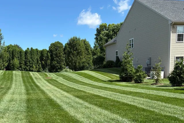 Ben’s Lawn and Landscape work photo