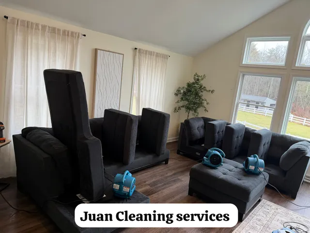 Professional sofa cleaning