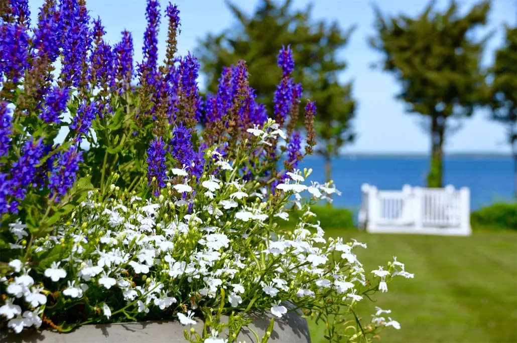 work photo from cmslandscape.com
