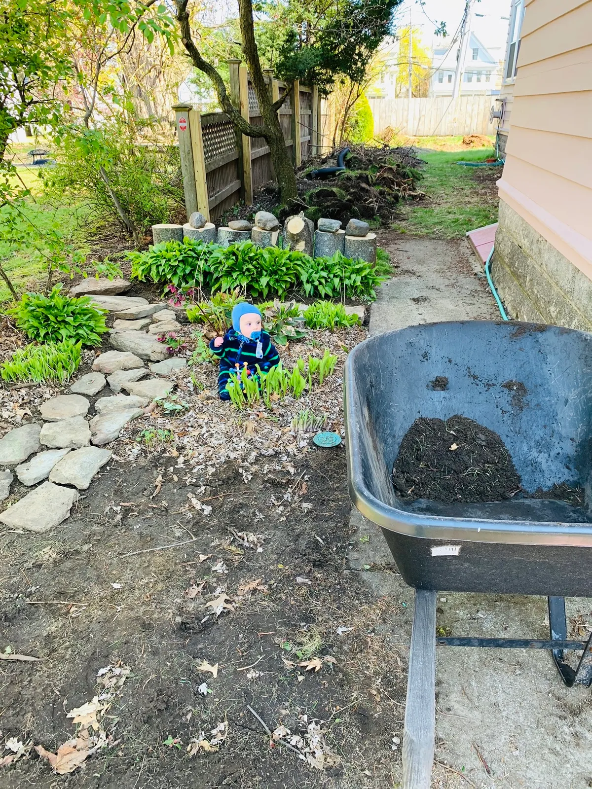 Front yard garden process photo 2