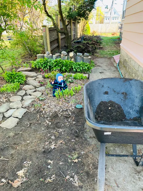Front yard garden process photo 2