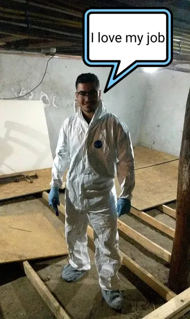 Targeted Pest Solutions work photo