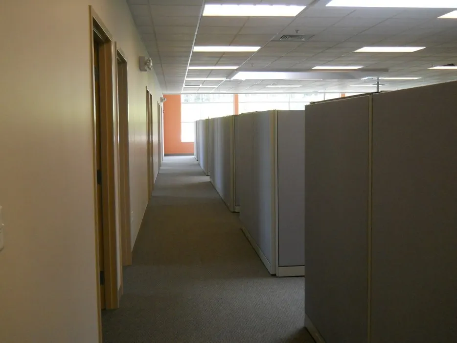 work photo from conservgroup.com