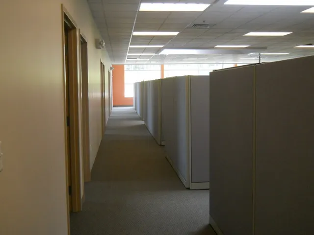 work photo from conservgroup.com